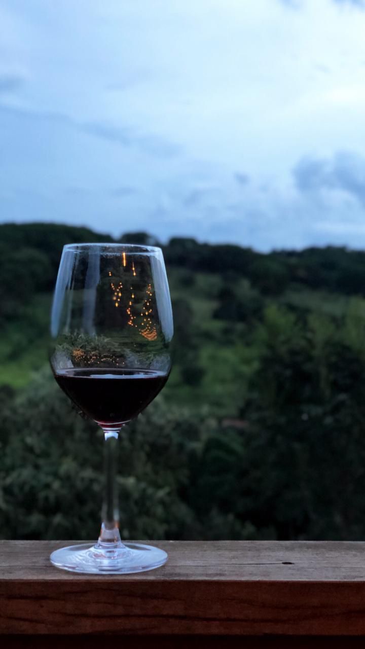Un verre à vin posé sur une surface en bois, avec en arrière-plan une vue sur un paysage boisé.