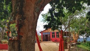 A red building with a wooden door and windows, surrounded by trees and a hammock.
