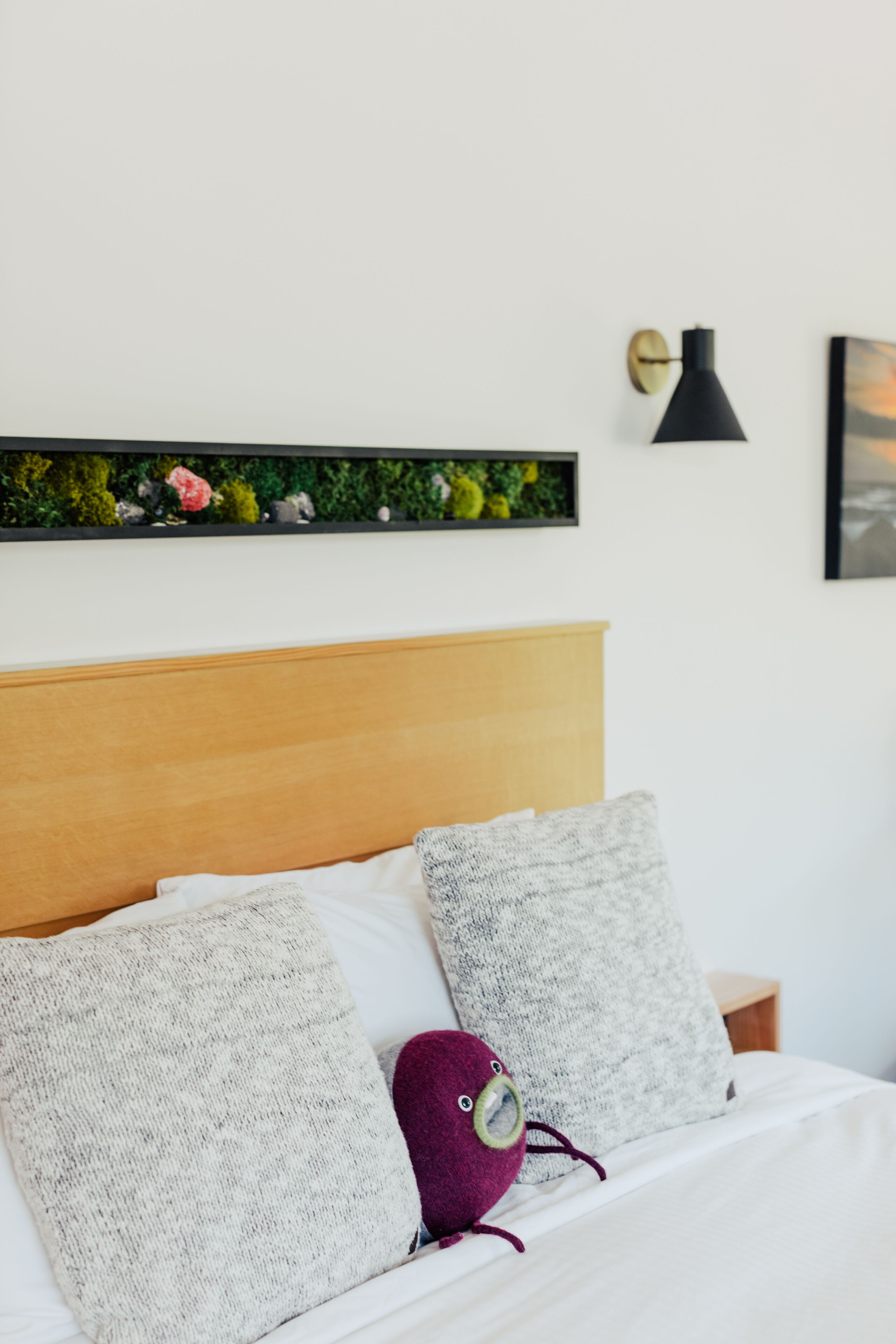 Literie de qualité supérieure, couette en duvet d'oie, surmatelas