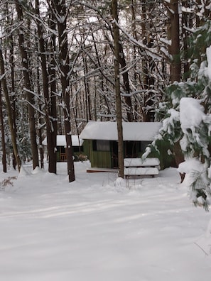 Exterior - Coyote's Den Rustic Cabin for Adventurous Camper (Freeville)