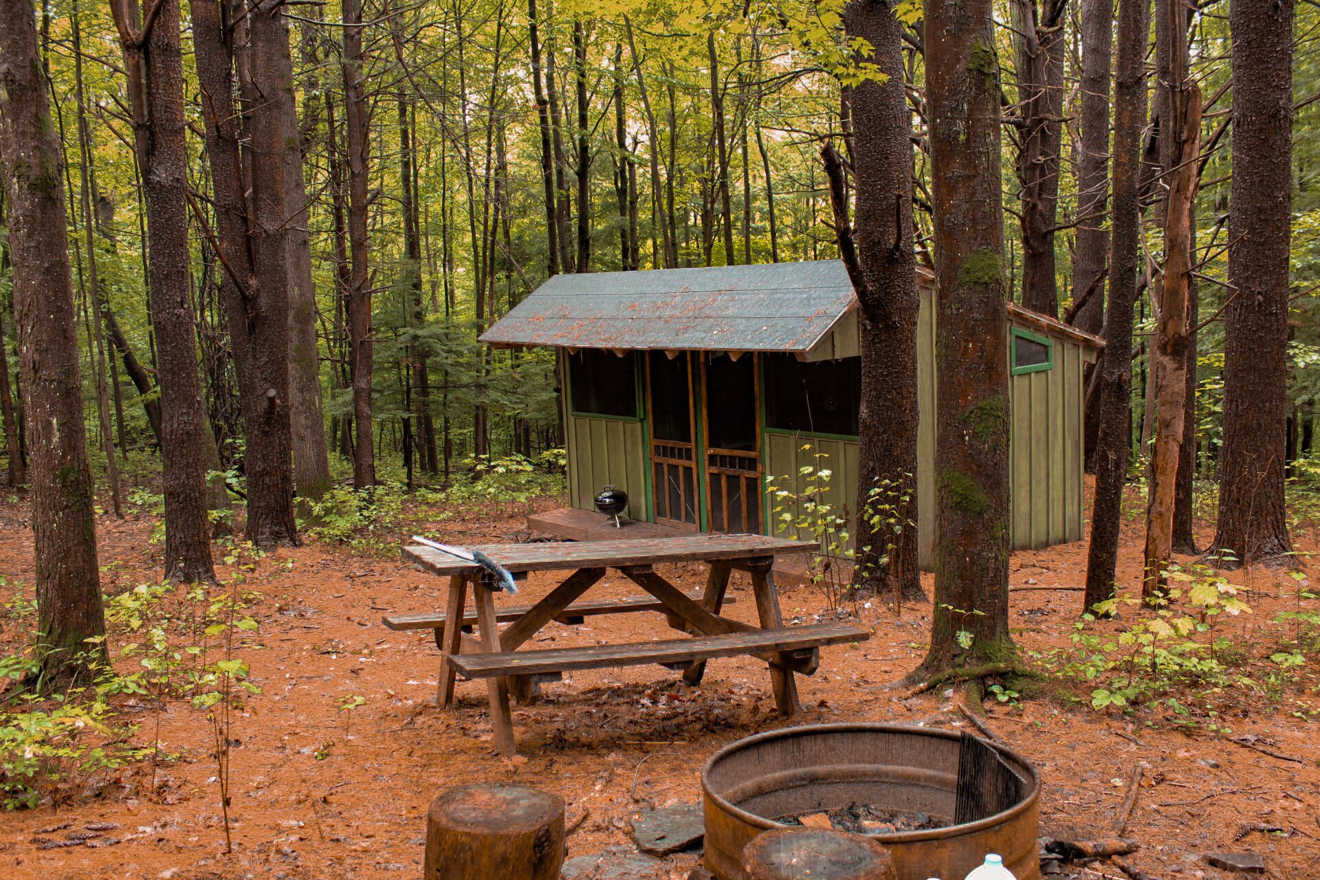 Un chalet rustique avec une table de pique-nique et un foyer, situé dans une forêt.