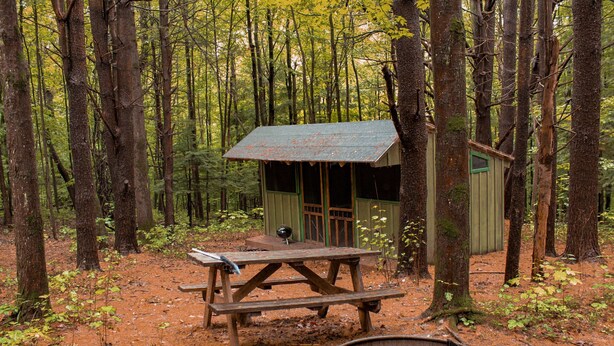A rustic cabin with a picnic table and a fire pit in a forest. - Coyote's Den Rustic Cabin  for Adventurous Camper (Freeville)