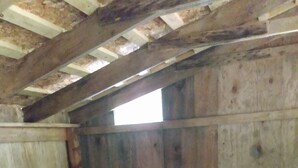 A rustic wooden room with a single bed, a nightstand, and a window. - Coyote's Den Rustic Cabin  for Adventurous Camper (Freeville)