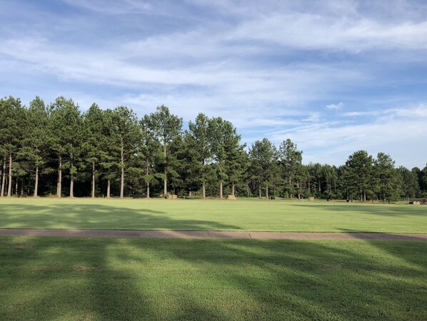 A golf course with a clear sky and a line of trees in the background. - Cabin Located on Tannenbaum Golf Course in Drasco, AR. (Drasco)