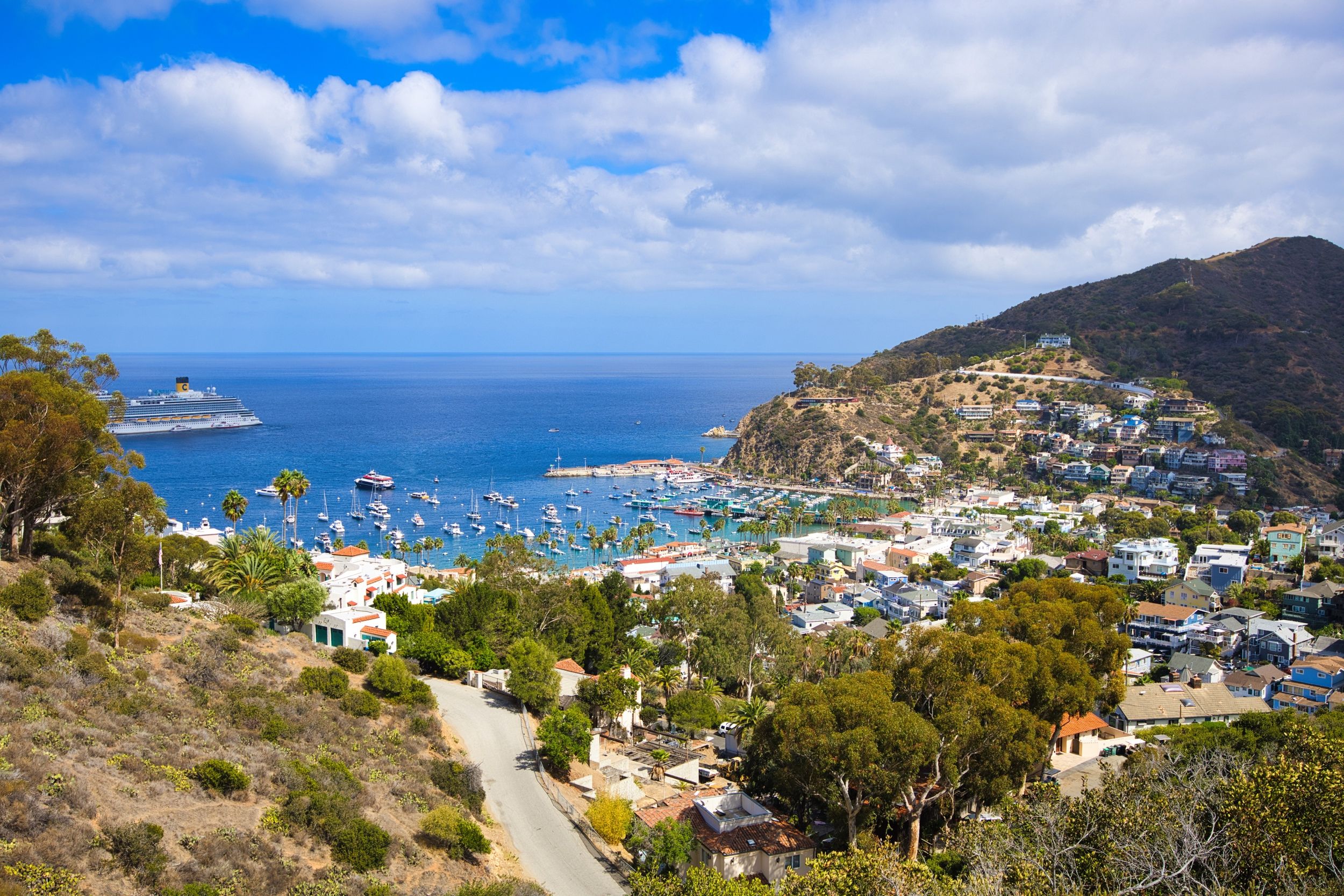 A coastal town with a marina, houses, and a hilly backdrop.