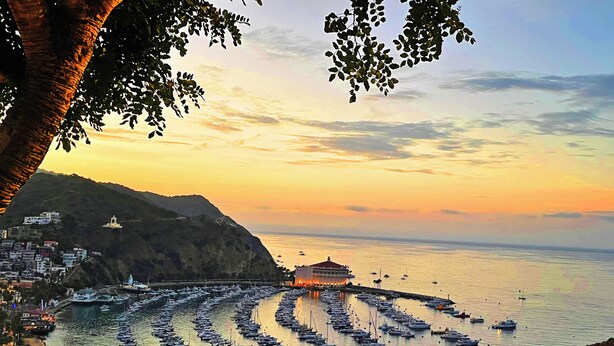 A coastal town with a marina filled with boats, a prominent building with a red roof, and a backdrop of hills and a sunset sky. - Catalina Courtyard Suites (Avalon)