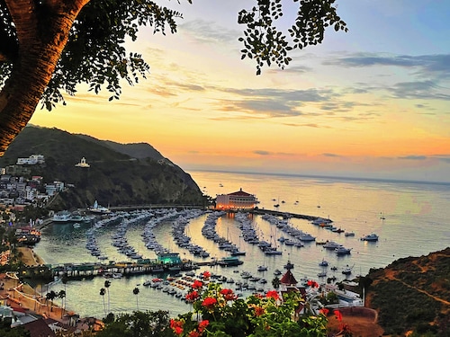 Catalina Courtyard Suites