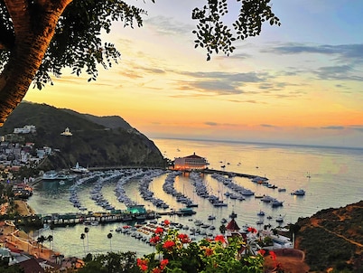 Catalina Courtyard Suites