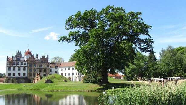Un bâtiment historique, avec un grand arbre devant, un étang et une zone herbeuse.