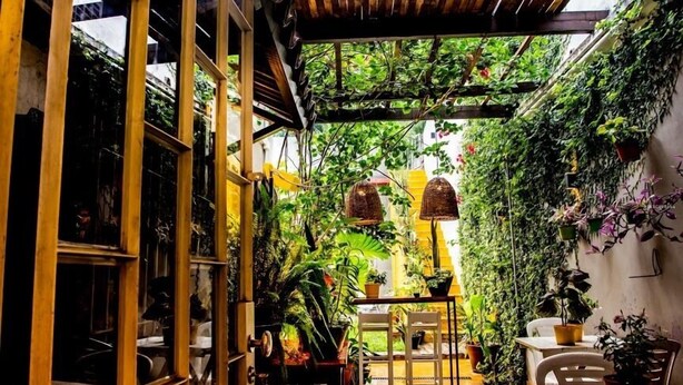Un espacio interior estrecho con una pérgola de madera, plantas en macetas y una pequeña mesa con sillas.