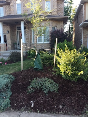 Enjoy a serene garden retreat with a rope swing and beautifully maintained grounds.