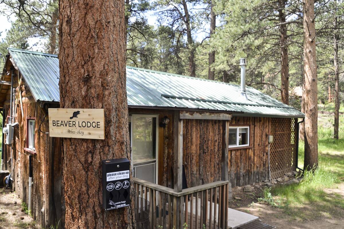 A rustic lodge named Beaver Lodge with a metal roof, wooden exterior, and a signboard.