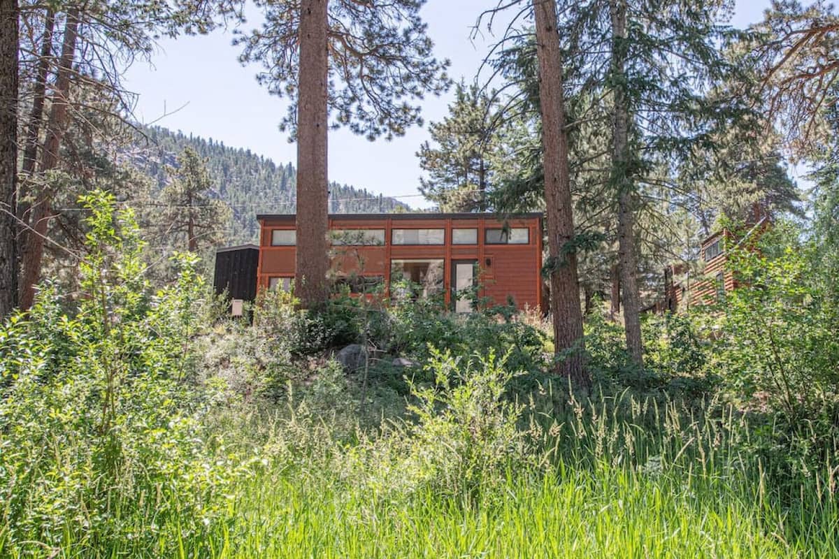 A modern log cabin surrounded by dense forest and tall trees.