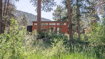 Individually decorated, individually furnished, iron/ironing board