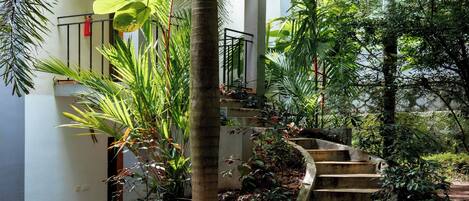 A staircase surrounded by lush greenery, leading to a building with a white exterior and a black railing.
