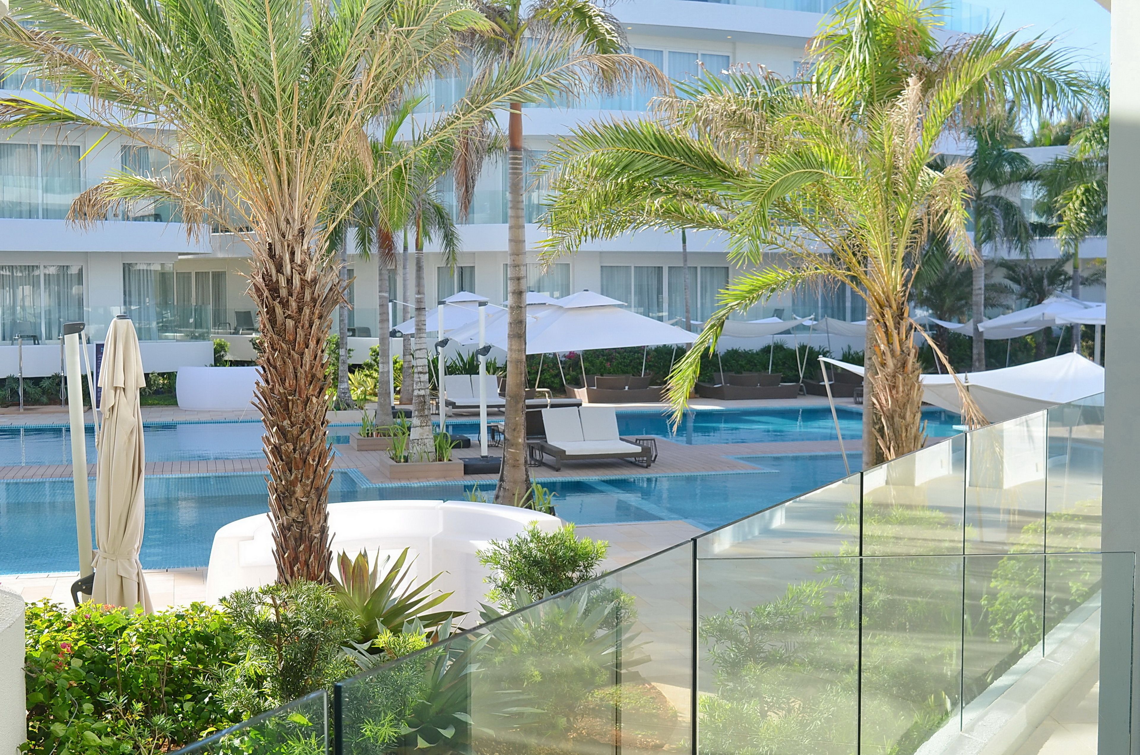 A pool area with lounge chairs and umbrellas, surrounded by palm trees and modern buildings.