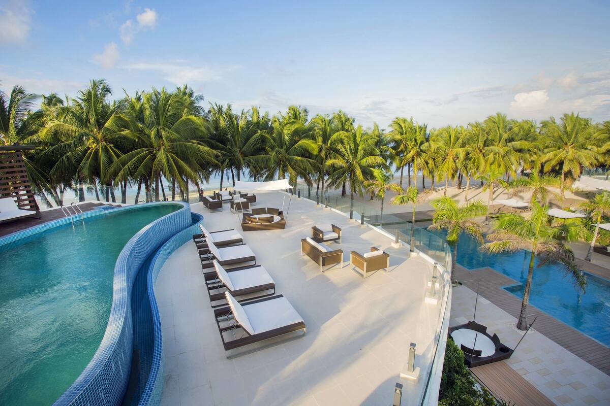 Una piscina infinita en la azotea con sillas de descanso y palmeras.