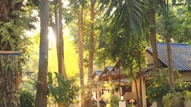 A pool area with a tiled edge, surrounded by trees and a building with a tiled roof. - Papillon Bungalows (Ko Lanta)