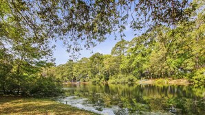 See