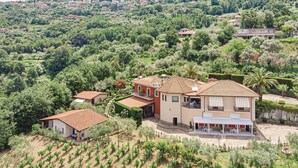 A large villa with multiple buildings, surrounded by lush greenery and vineyards. - Pet friendly apartment in Laureana Cilento (SA) with swimming pool (Laureana Cilento (SA))