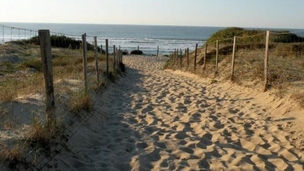 En sandstig som löper längs stranden, med trästolpar och stängsel av ståltråd, och som leder ner till havet.