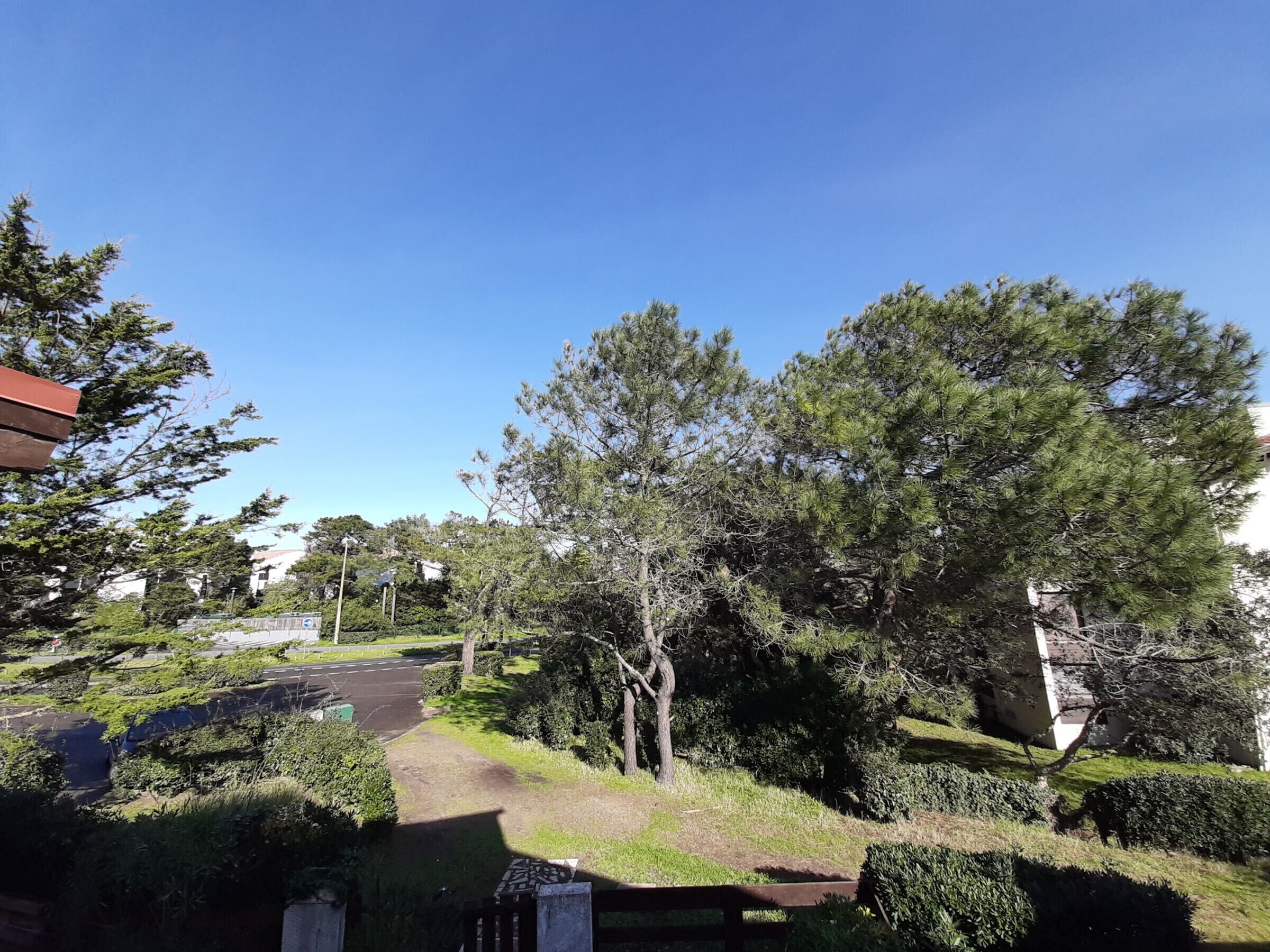 Un quartier résidentiel avec une route asphaltée, des arbres et un ciel bleu dégagé.