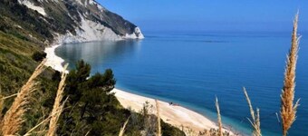 L'Olivier Montelupone