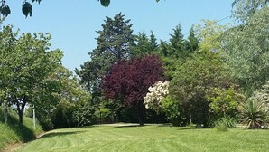 Ein gepflegter Rasenbereich mit Bäumen und Sträuchern, vermutlich Teil eines Parks oder Gartens.