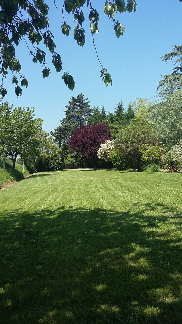 Property grounds