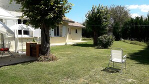 Ein Garten mit Rasen, einem Baum, einem kleinen Schuppen und einem Stuhl.