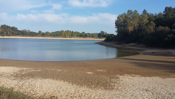 Eine natürliche Landschaft mit einem großen Gewässer, einem Sandstrand und einem bewaldeten Hintergrund.