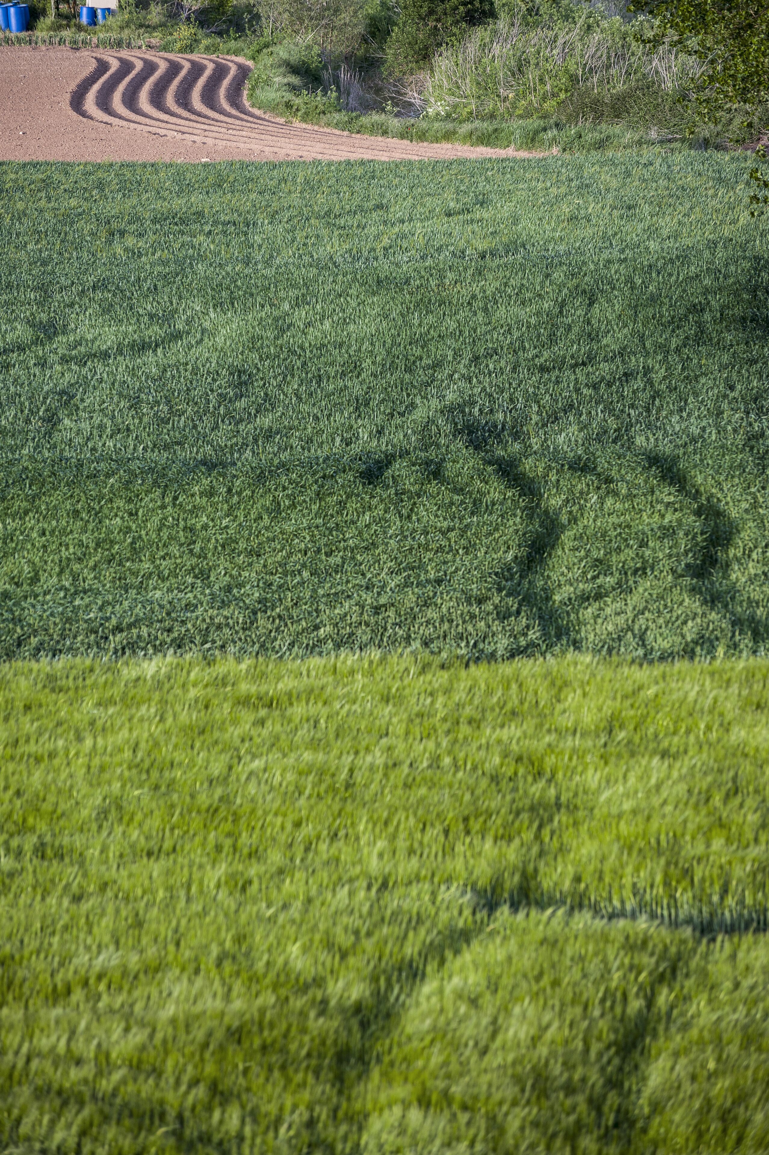 Foto - Albergue turístico "La Fábrica"