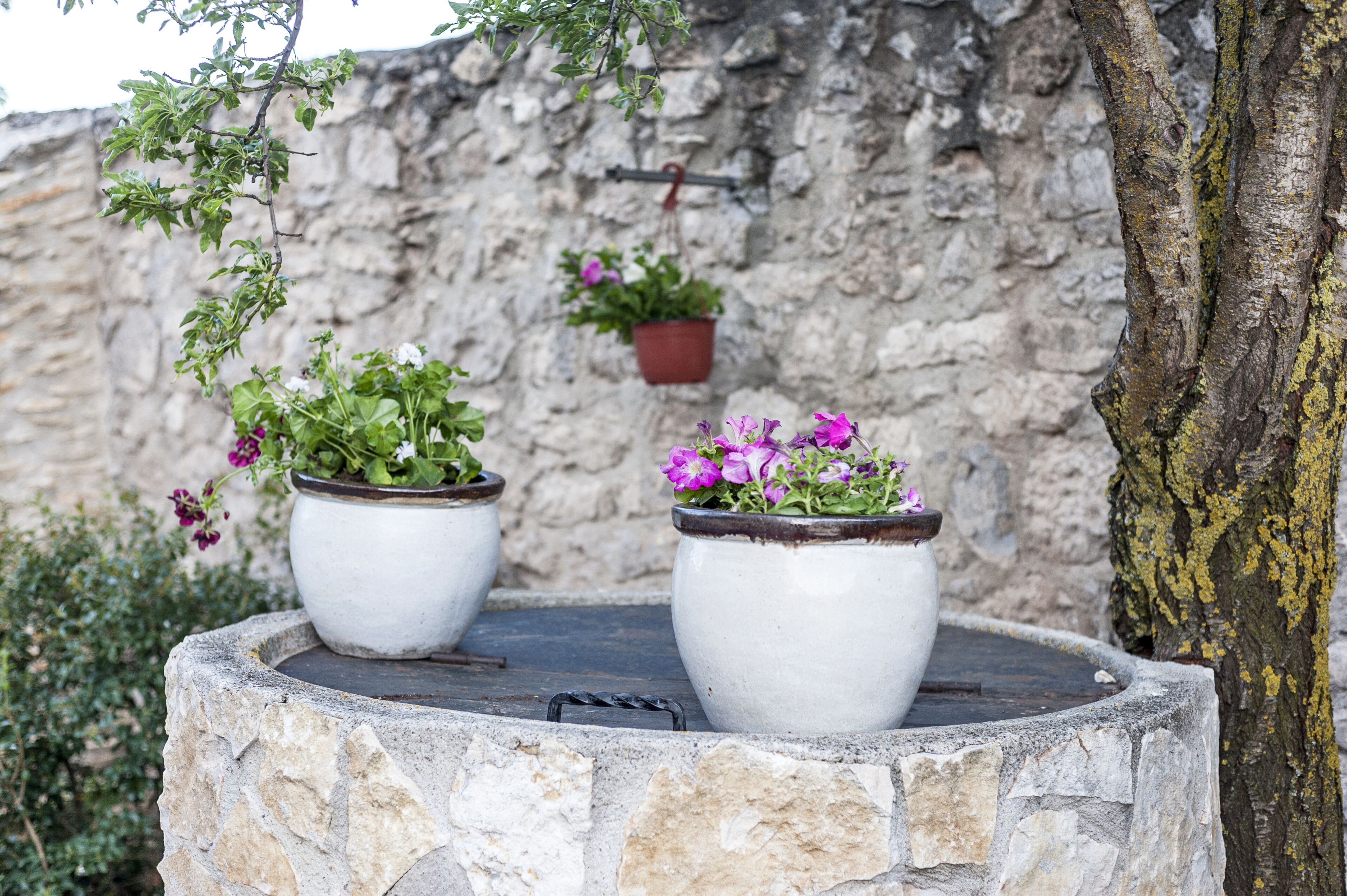 Foto - Albergue turístico "La Fábrica"