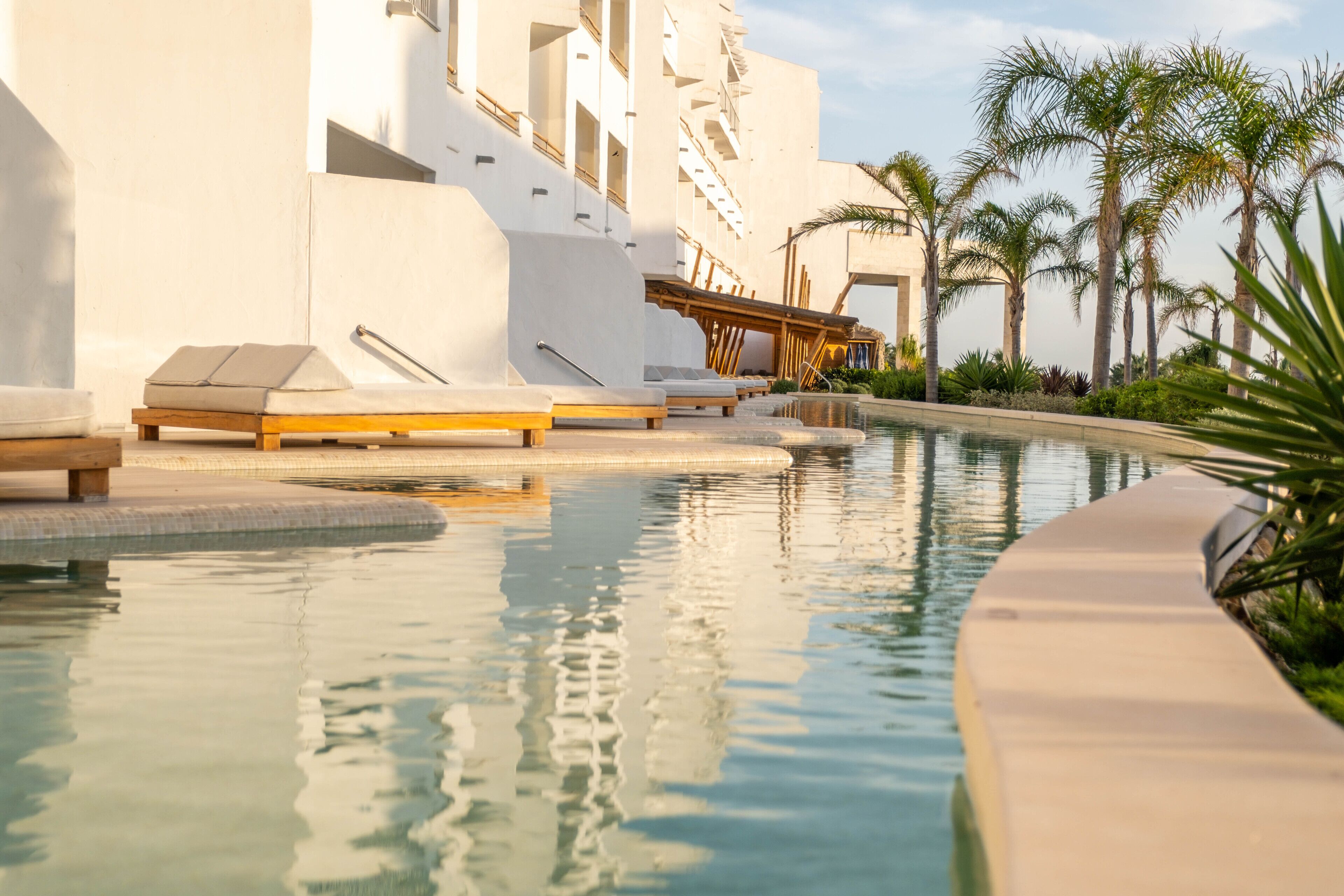 Un área de piscina con sillones de descanso y un paseo bordeado de palmeras.