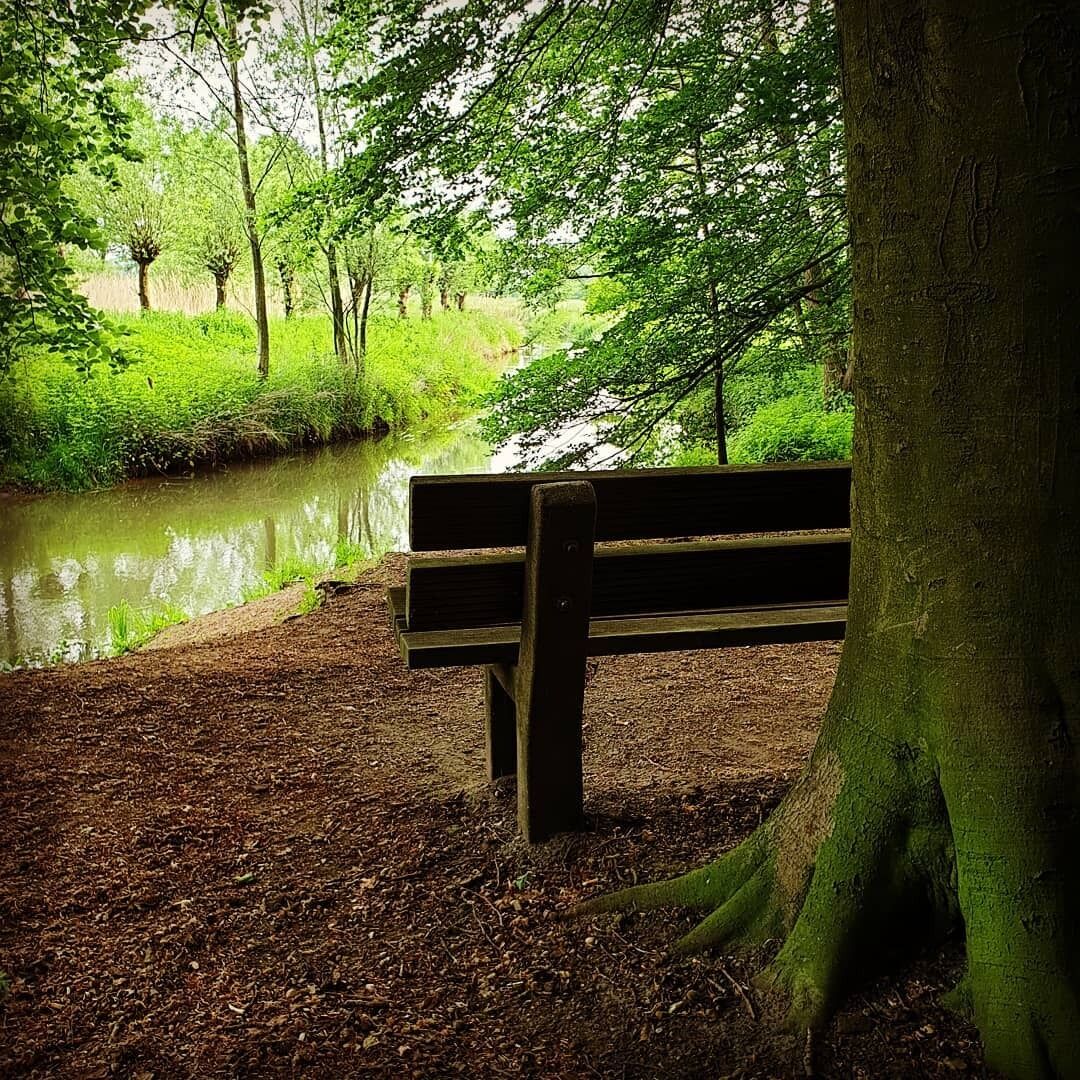 A wooden bench by a calm river in a wooded area.
