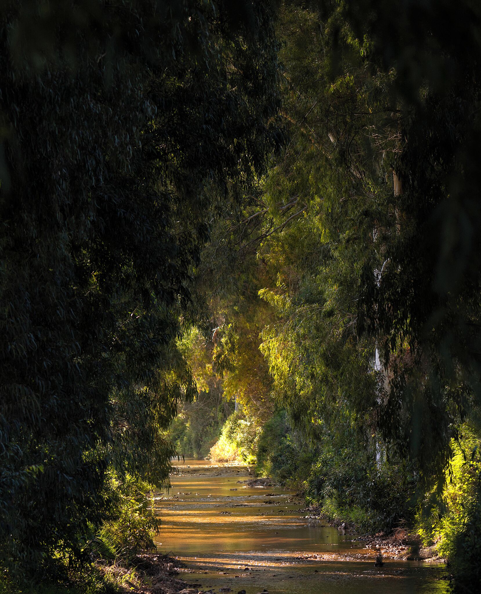 land view from property