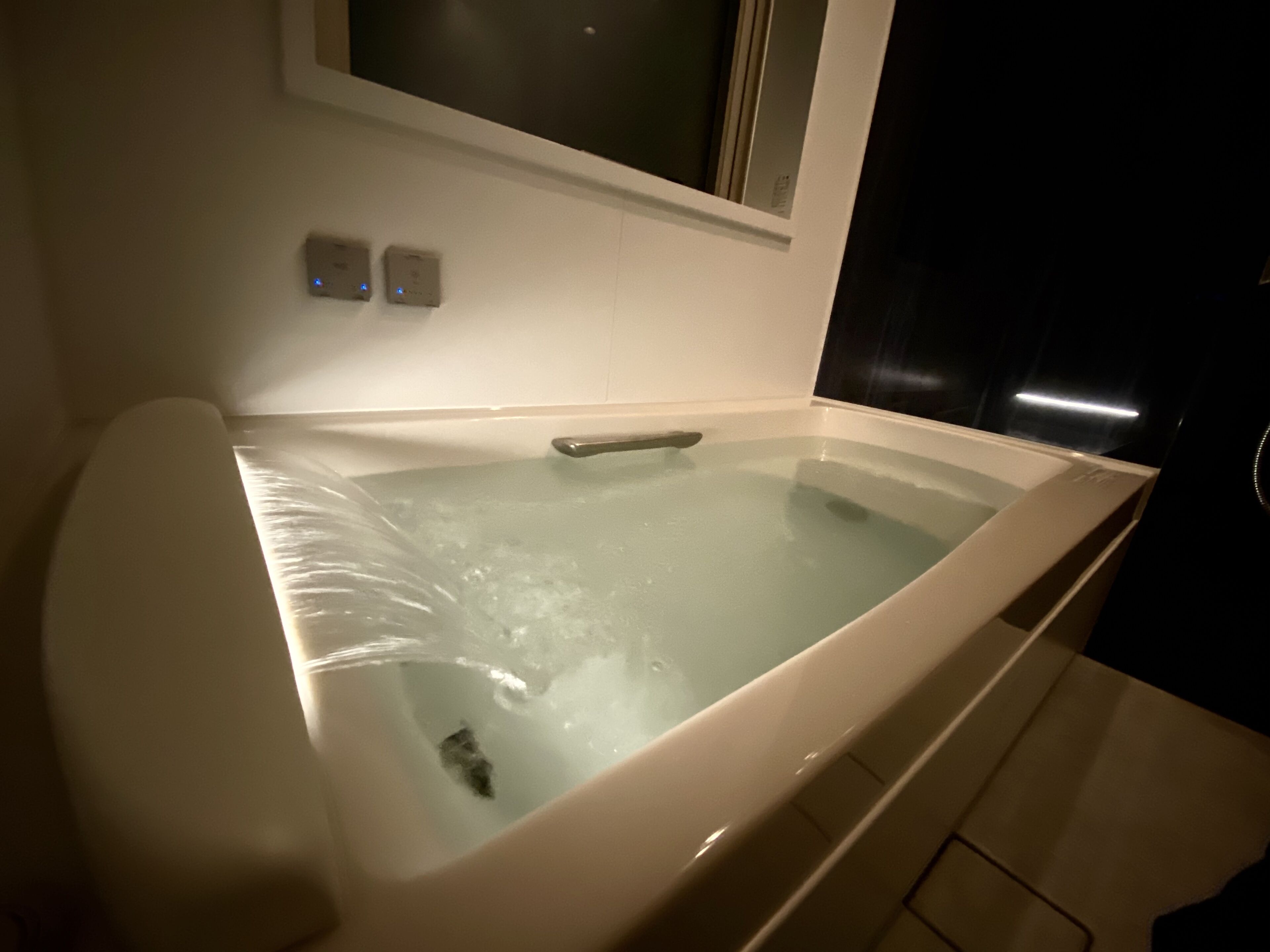 separate bathtub and shower, deep-soaking bathtub