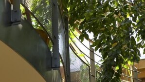 تفاصيل الفندق من الداخل