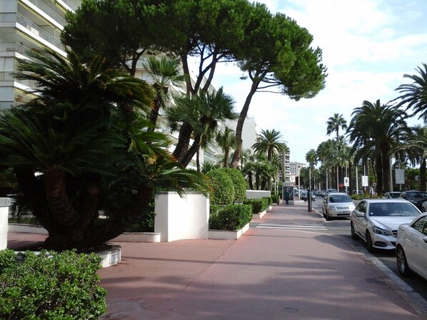 A tree-lined street with parked cars and a pedestrian walkway. - cannes - exceptional view. 90m². 3 or 4 vacationers.  (Cannes)