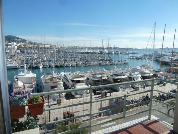 A marina filled with boats, a clear sky, and a view of a town in the background.