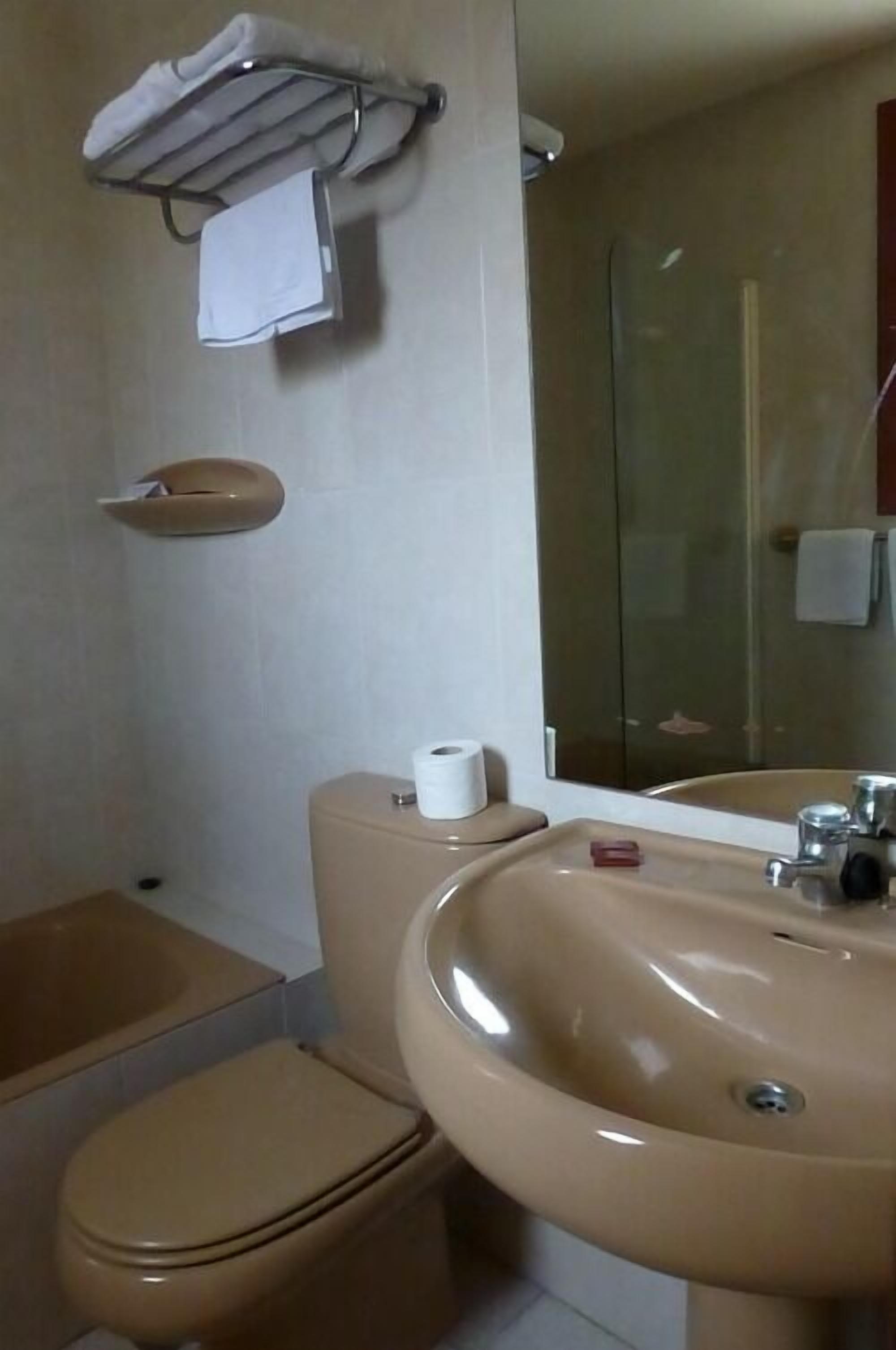 combined shower/bathtub, free toiletries, hair dryer, towels