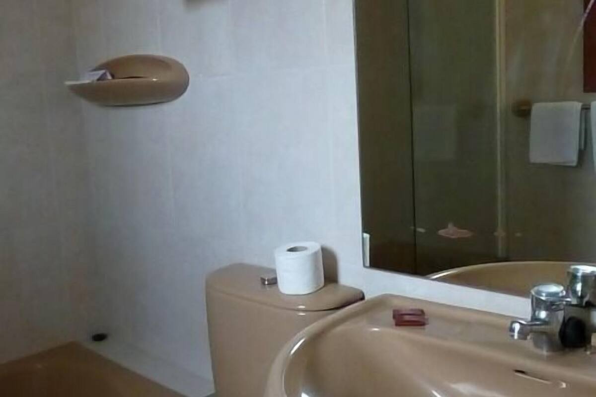 combined shower/bathtub, free toiletries, hair dryer, towels