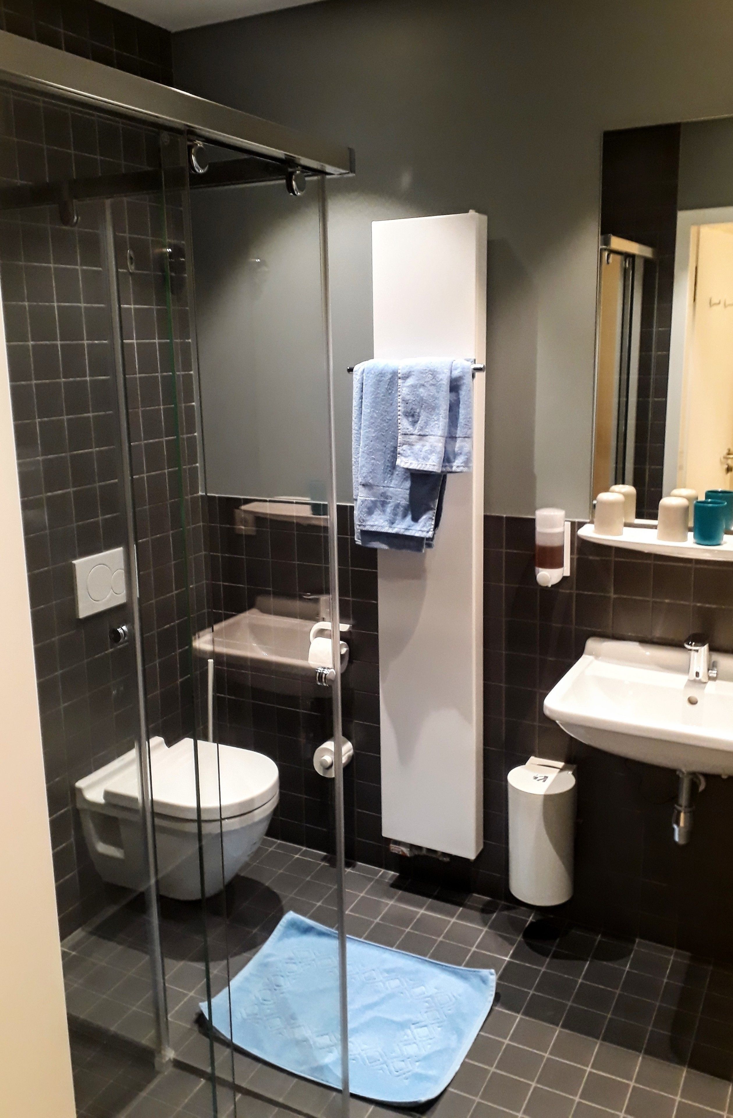 deluxe double or twin room, non smoking | bathroom | shower, hair dryer, towels