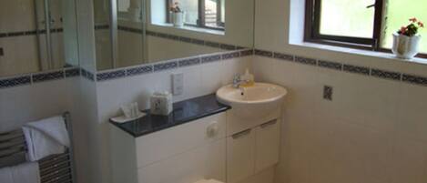 A bathroom with a white sink, a toilet, and a mirror above the sink.