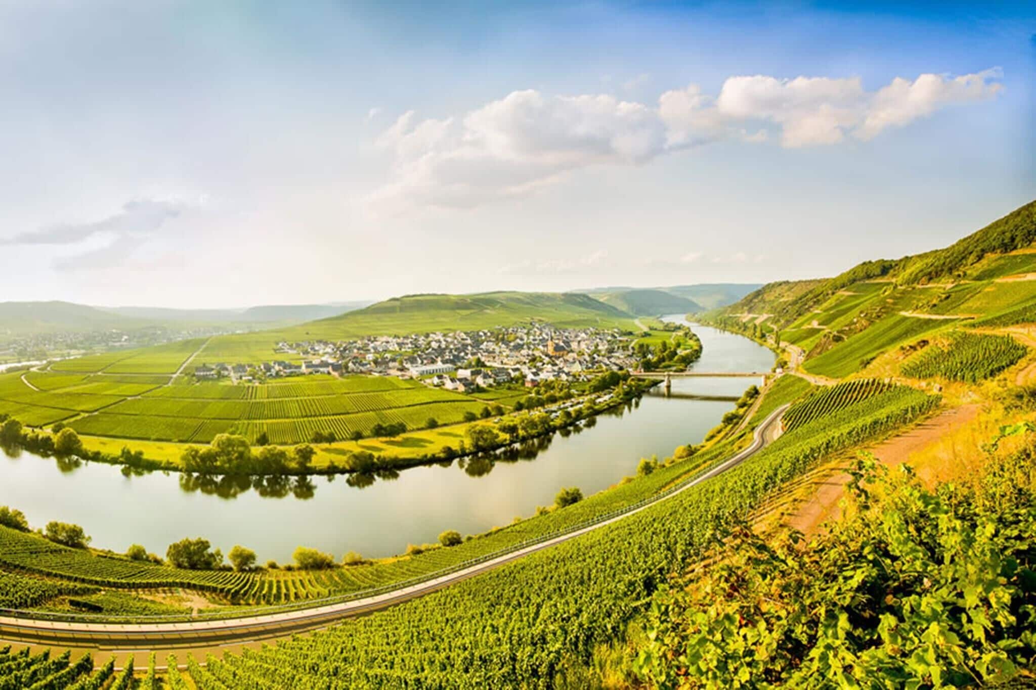 Un paysage de vignoble avec une rivière, une petite ville et un pont.