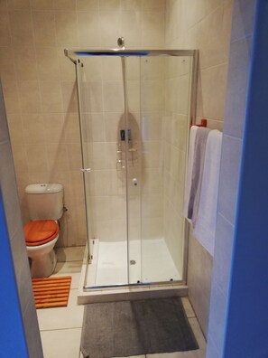 Une cabine de douche fermée par des parois en verre, avec des toilettes blanches et un porte-serviettes.