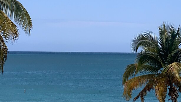 A beach with palm trees, a sandy shore, and people swimming and surfing.