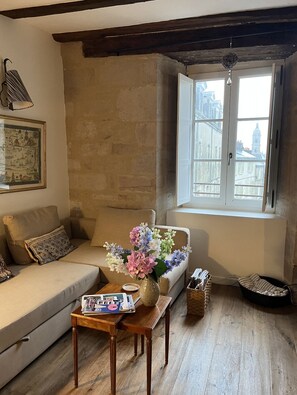 Fernseher, DVD-Player, Bücher, Videothek