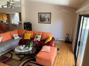 Televisión, chimenea, reproductor de DVD y libros 