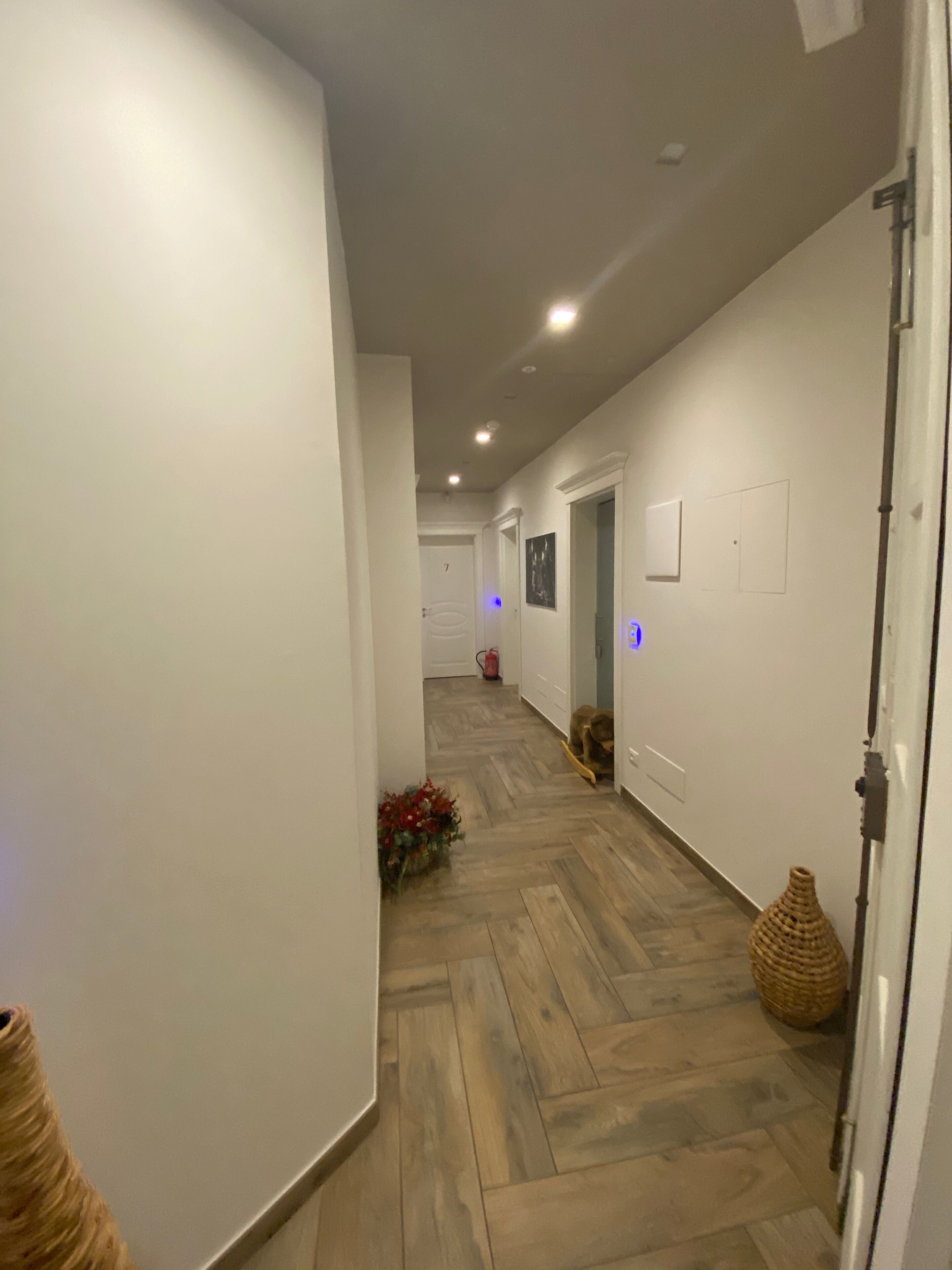 A hallway with wooden flooring, white walls, and recessed lighting. There are doors leading to other rooms, a small decorative plant, and a woven basket.